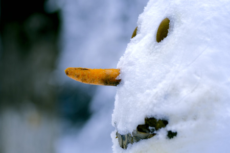 Close-up of a snowman`s pretty faceの写真素材