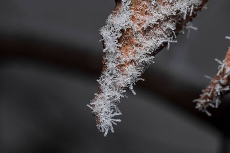 Beautiful frost flowers hanging by a piece of sharp metalの写真素材