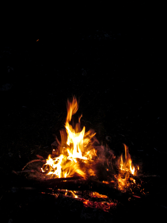 Isolated bonfire at night on a black background. Logs burn in a small bright orange-yellow flame tongueの写真素材