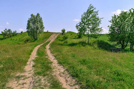 Two-lane dirt road up a hill in the middle of meadows and lush green grass on a sunny spring-summer day. Natural landscape with a path over the horizon and a wooden table/bench in the shadow of a treeの写真素材