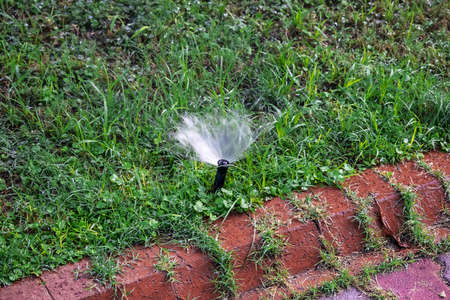 The sprinkler head sticks out of the ground and sprays water, close-up. Watering system for irrigation grass on a lawn, garden or parkの写真素材