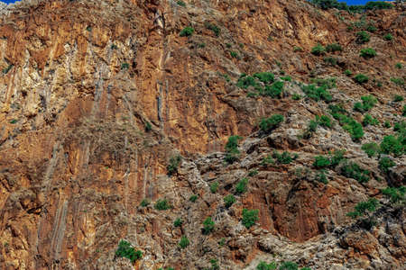 A bare stone slope of a high mountain with rare green trees on it. Natural brown-orange rock...