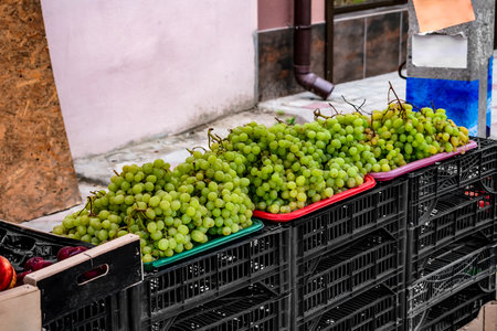 Trays with bunches of green grapes stand along the street in Zaliznyi Port (Kherson region, Ukraine). Harvest trade in the Ukrainian resort villageの写真素材
