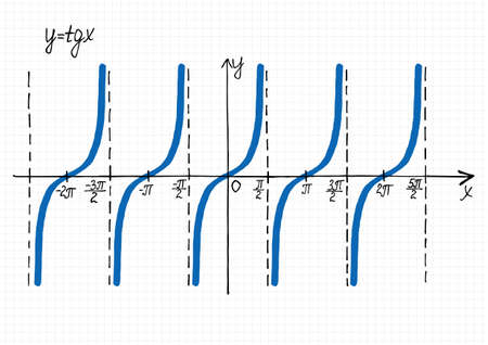 Hand-drawn graph of tangent function. Vector illustration of coordinate system and tg x curve on checkered sheet of paperのイラスト素材