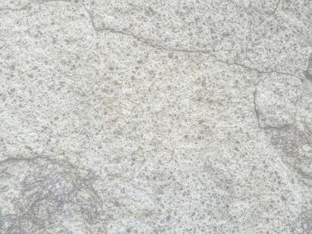 Light gray natural stone texture. Surface of a cement wall with pebbles inclusionの写真素材