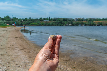 A woman holds a scallop shell in her hand on the Strilka beach in Mykolaiv, Ukraine. Snail shell from the Inhul River. Summer sea holiday conceptの写真素材