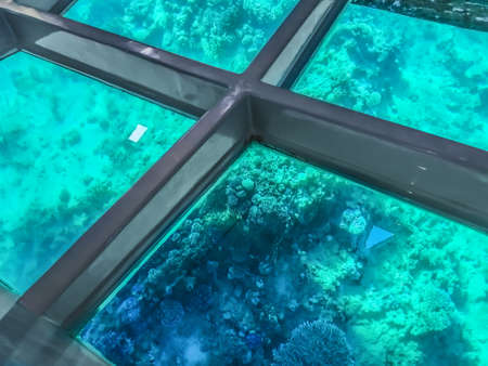 View of coral reefs through the transparent glass bottom of the ship. Metal frame against the background of the underwater world in the Red Sea of Egyptの写真素材