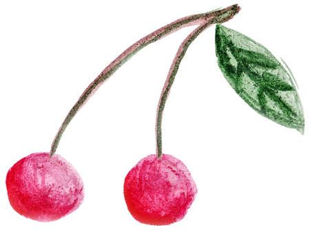 Hand-drawn cherry twig with two pink berries and one green leaf. Raster watercolor illustration isolated on transparent or white backgroundの写真素材