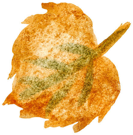 Hand-drawn watercolor painting of single yellow leaf of birch or linden isolated on white or transparent background. Cartoon childlike illustrationの写真素材