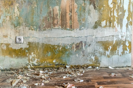 Pieces of paper wallpaper and rubbish are scattered on the floor near a wall with cracked plaster...