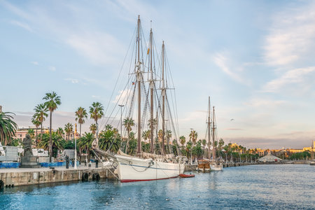 White sailing ship with three masts and lowered sails moored near the waterfront of Barcelona with palm trees on the shore, Spain. Beautiful landscape in the Port of Barcelona in the eveningの写真素材