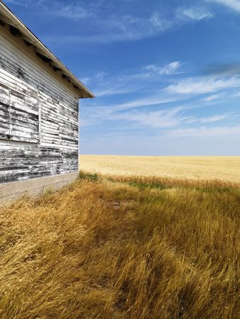 Exterior of weathered abandoned building with peeling paint in grasslands.の写真素材