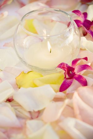 Lit candle with purple orchids and rose petals.の写真素材