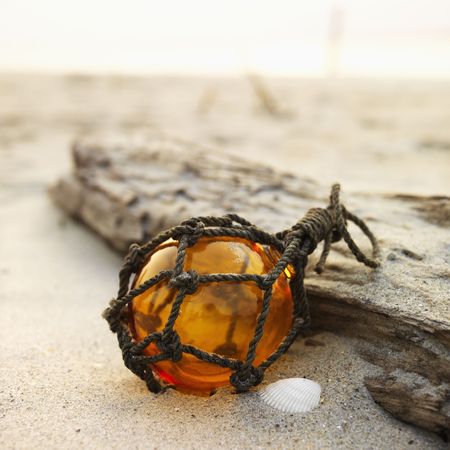 Glass globe net float with driftwood on beach.の写真素材