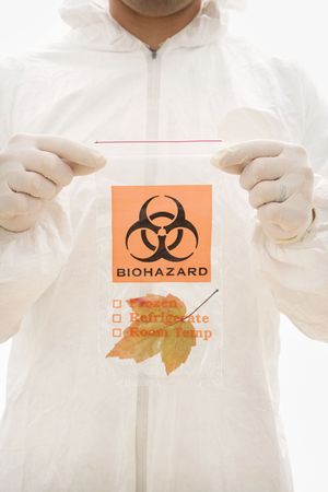 Man in biohazard suit and rubber gloves holding plastic biohazard bag containing orange Maple leaf.の写真素材