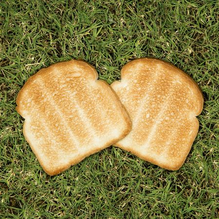 Toast on grass.の写真素材