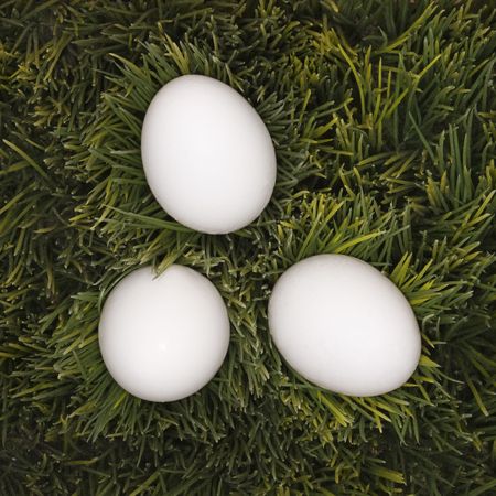 Studio shot of three white eggs laying in grass.の写真素材