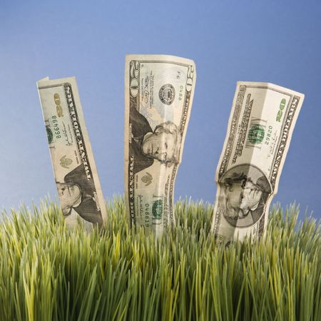 Paper money in grass.の写真素材