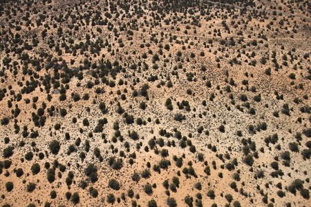 Aerial of low growing shrubs in desert landscape of Utah, USA.の写真素材