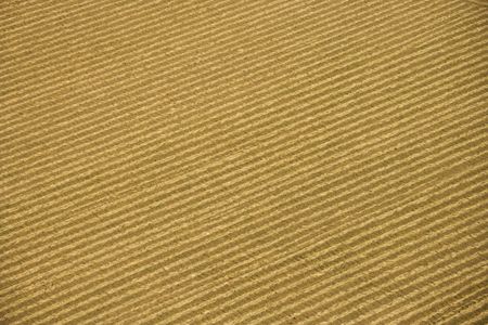 Aerial of rows in agricultural cropland.の写真素材