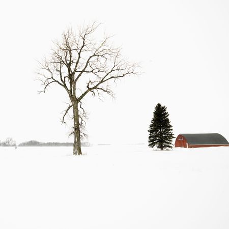 Red barn in snow covered landscape in Midwestern, USA.の写真素材