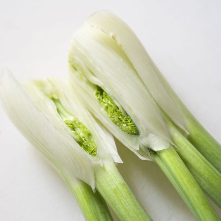 Close up of stalk and bulb of fennel cut in half.の写真素材
