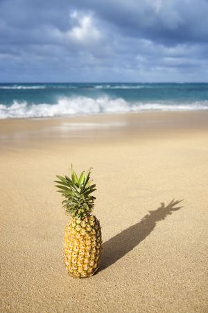 Whole pineapple on tropical beach.の写真素材
