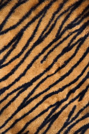 Close up shot of tiger print carpet.の写真素材