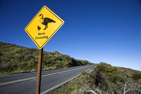 Shot of "Nene Crossing" road sign in Haleakala National Park, Maui, Hawaii.の写真素材