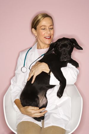 Caucasian prime adult female veterinarian with black puppy.