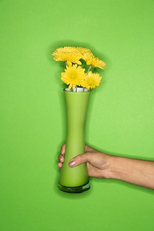 Female Caucasian young adult's hand holding vase with flowers.の写真素材