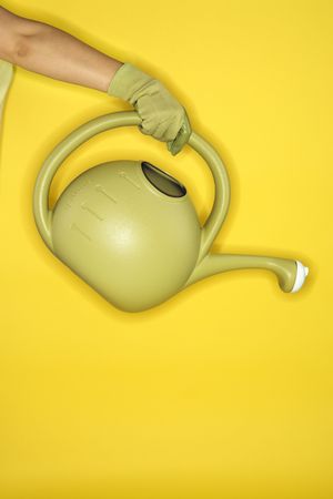 Young adult female Caucasian holding watering can.の写真素材