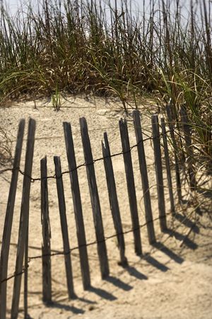 Weathered fence on sand dune on Bald Head Island, North Carolina.の写真素材