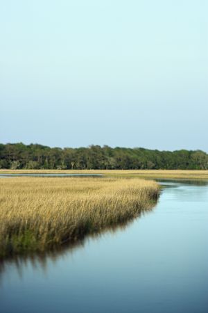 Scenic marsh landscape on Bald Head Island, North Carolina.の写真素材