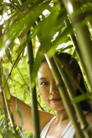 Portrait of Asian American woman in bamboo forest in Maui, Hawaii.の写真素材