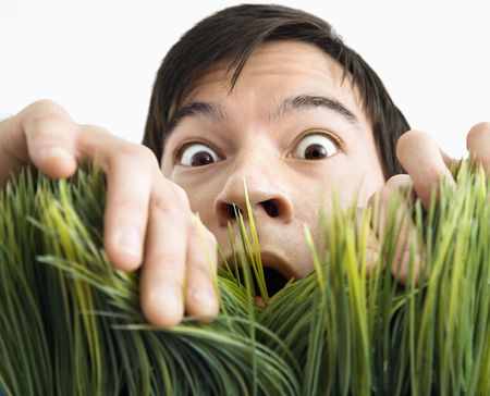 Asian young man looking through grass with fearful expression.の写真素材
