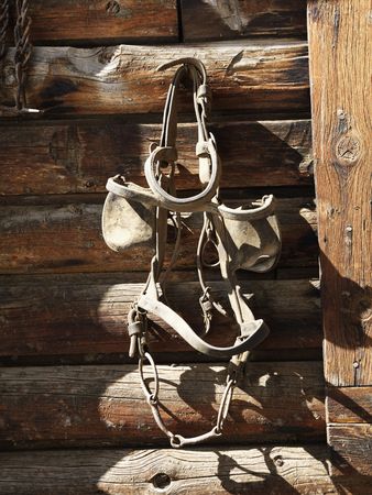 Bridle with blinders hanging on an old weathered wooden stable.の写真素材