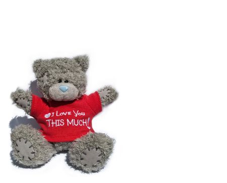 teddy bear in red T-shirt with the inscription. Image may be useful for Valentines.の写真素材