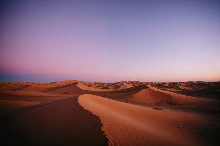 Sunset over sand dunes in the Sahara desert, Morocco.の素材