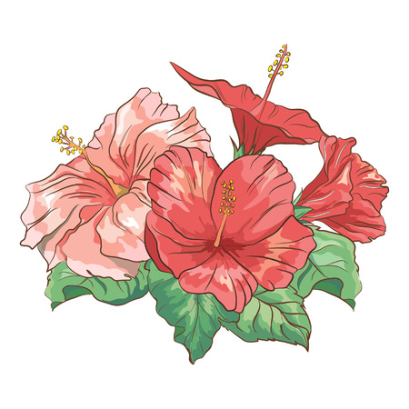 Colorful realistic hand drawing of exotic hibiscus flowerのイラスト素材