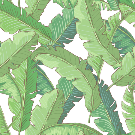 Tropical seamless pattern with palm leaves. Exotic vector background.のイラスト素材