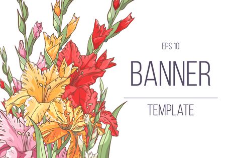 delicate invitation with gladiolus for wedding, marriage, bridal, birthday, Valentine's day. Beautiful flower composition template. Summer composition.のイラスト素材