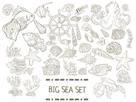 Big sea set. Collection of hand drawn fish, seaweed, octopus, jellyfish,shells isolated on white backgroundのイラスト素材