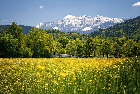 Landscape in the bavarian Alps. Selective focus