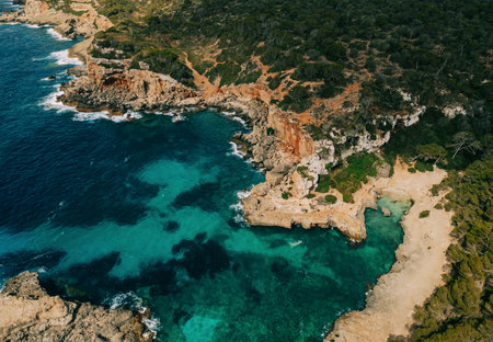 Aerial view of rocky coastline with turquoise sea, cliffs, and lush Mediterranean forest. Majorcaの写真素材