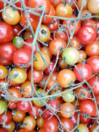 background of different colored cherry tomatoes. High quality photoの写真素材
