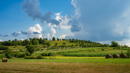 Country landscape with haystacks on the field and clouds in the blue skyの写真素材