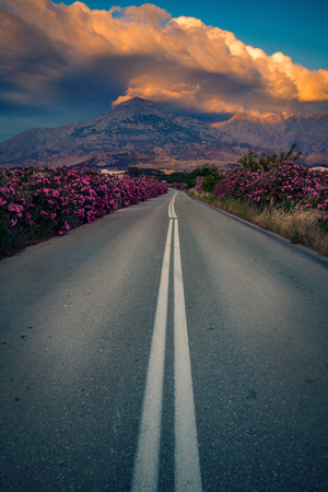 Empty beautiful and scenic road surrounded by big beautiful oleander flowers with the Saos mountain peak in the background with a big cloud formation on Samothrace Island in Greeceの写真素材