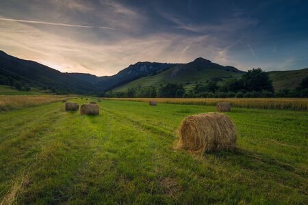 Wheat round haystacks on a field near the mountains at sunrise or sunsetの写真素材