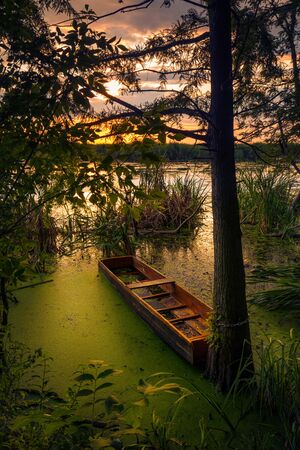 Small wooden boat chained to a tree on a lake at sunrise or sunsetの写真素材